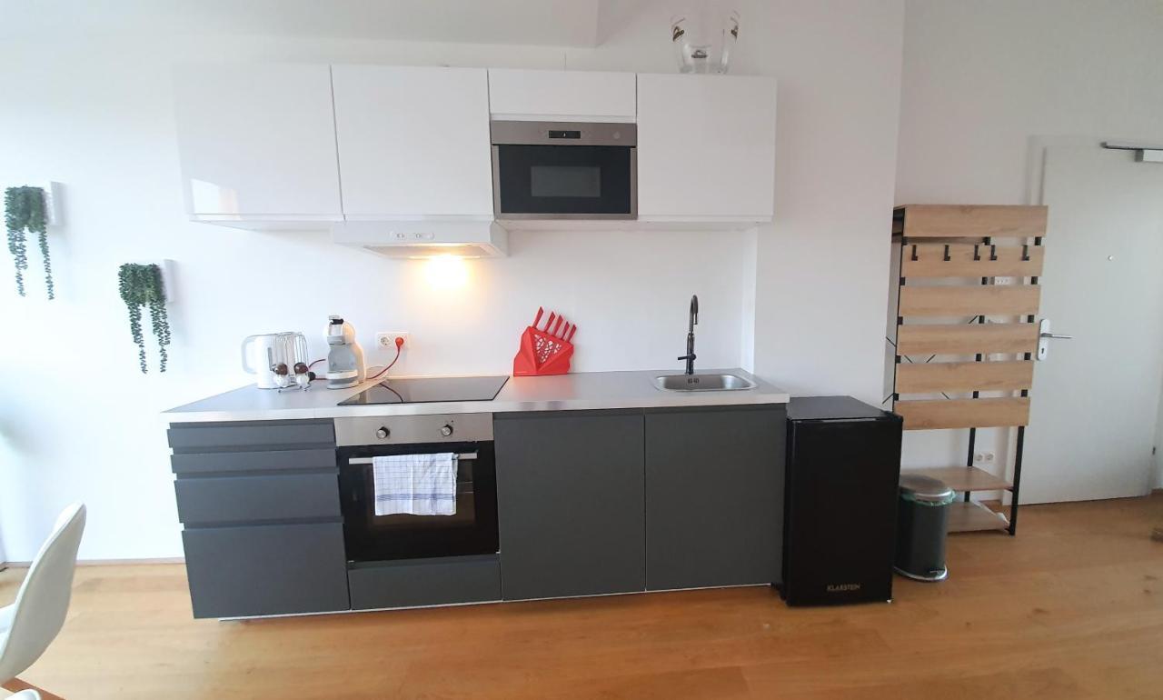 Rooftop Terrace, Free Garage Parking And Pool! Vienna Exterior photo